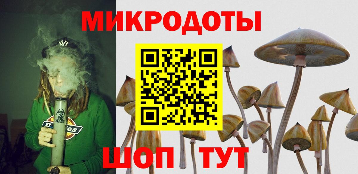 Псилоцибиновые грибы Cubensis Кимовск