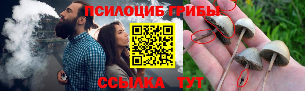 купить наркоту  Псилоцибиновые грибы Magic Shrooms  Кимовск  Вход с VPN  Псилоцибиновые грибы мухоморы 