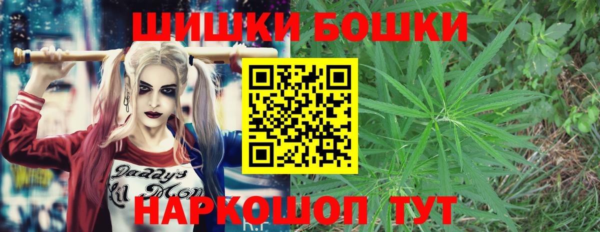 Кимовск  Канабис планчик  Бошки марихуана сатива  Вход с VPN 